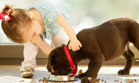 Con gái bữa nào cũng ăn thun thút nhưng chẳng tăng cân, mẹ choáng khi biết thủ phạm là "boss" trong nhà