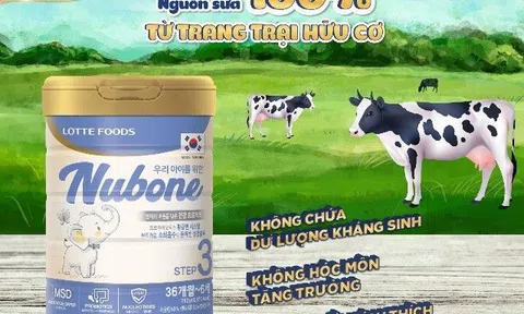 Nhãn hàng Nubone – Lotte Foods hợp tác chiến lược với Kidsplaza tại Festival mẹ bầu và em bé