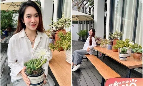 Nhà Lý Hải không chỉ có vườn rau xanh mà còn thêm một loại cây ai cũng mê, nhìn biết chủ khéo tay thế nào