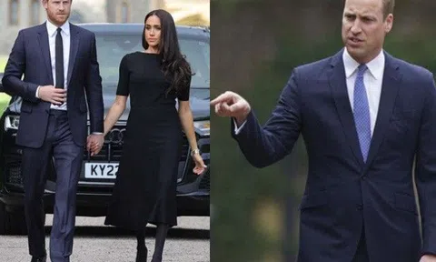 Meghan nói bản thân "bị quẳng cho sói ăn thịt", Harry khẳng định Hoàng gia "nói dối bảo vệ William"