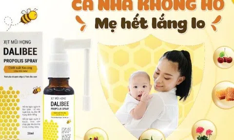 Cùng xịt mũi họng Dalibee bảo vệ hệ hô hấp khi giao mùa