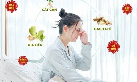 Công dụng “không ngờ tới” của 3 loại thảo dược thiên nhiên giúp giảm triệu chứng cảm cúm