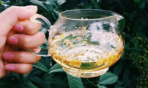 Uống trà hoa cúc có tốt không? 7 lợi ích bất ngờ của trà hoa cúc, đặc biệt với phụ nữ
