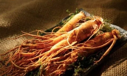 Nhân sâm có tác dụng gì mà giá thành đắt đỏ? Những người cần thận trọng khi dùng nhân sâm