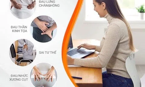 Ghế điều chỉnh tư thế Curble Chair: Món quà ý nghĩa cho người thân yêu dịp Giáng sinh