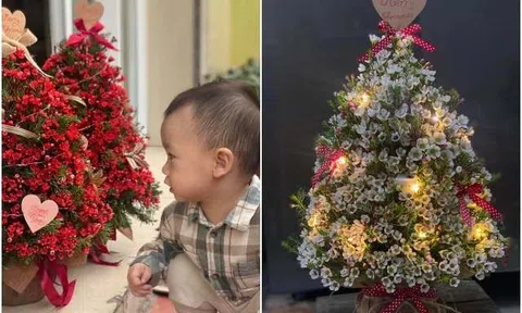 Độc lạ 9X Hải Phòng "hô biến" cây thông nở hoa đủ màu, cắm hàng trăm bình hoa thông dịp Giáng Sinh