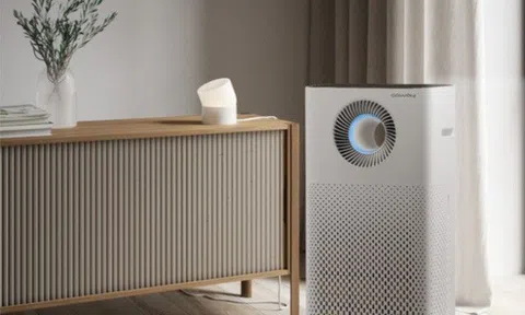 Nâng tầm thẩm mỹ cho mái ấm ngày Tết