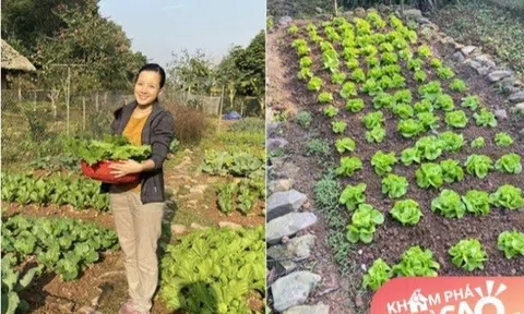 Cựu MC nhiều con nhất nhì nhà đài VTV khoe vườn rau tự trồng, cảnh tỉnh những ai muốn “bỏ phố về rừng”