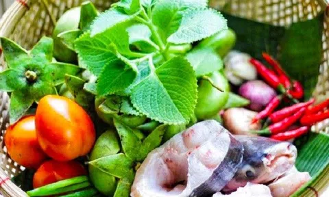 Loại quả đọc tên thấy "nghèo", dân miền Tây ai cũng biết, hóa ra có thể chống ung thư, chữa nhiều bệnh