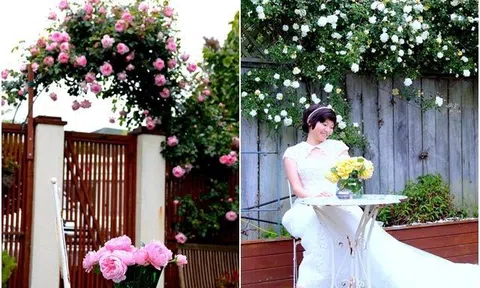 Mẹ Việt ở New Zealand trồng trăm loại hoa hồng đẹp như tranh, đi công tác vài tháng vườn vẫn tươi tốt