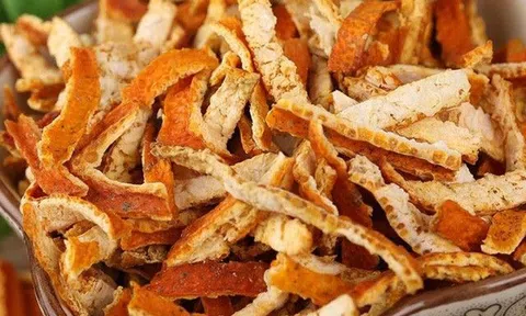 Vì sao trần bì được cung cấm chuộng dùng, còn so sánh "một lạng vỏ bằng một lạng vàng"