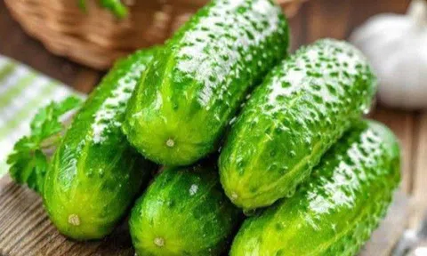 Dưa chuột bao tử nhỏ hơn dưa chuột nhưng dinh dưỡng có chắc ít hơn, nhiều người bỏ phí không biết