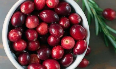 Nam việt quất có công dụng gì mà được gọi là "phù thủy làm trắng da", "cứu cánh" của phụ nữ bị viêm nhiễm? 