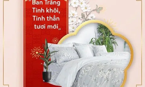 Muốn nâng cấp không gian phòng ngủ đón Tết, đừng ngại chốt đơn những bộ chăn ga xịn sò và chất lượng