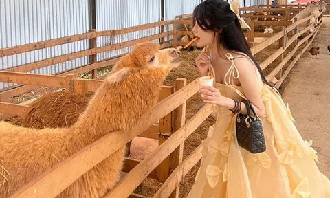 Xuất hiện cô bé chăn cừu đẹp nhất mạng xã hội, diện đầm công chúa xách túi hiệu