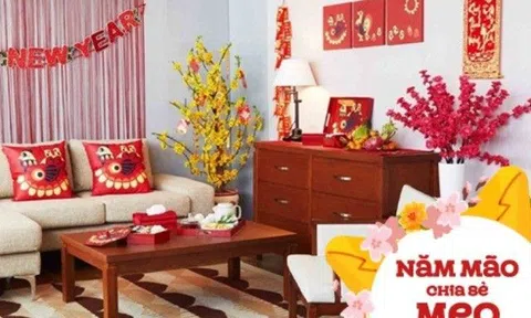 4 loại hoa đẹp đến mấy cũng đừng mua trưng Tết