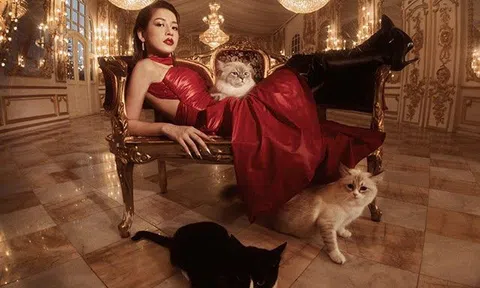 Chi Pu hóa Nữ hoàng của loài Mèo gợi cảm và bí ẩn đón Tết Quý Mão