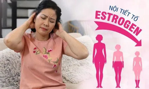 Nội tiết tố Estrogen – “Nhựa sống” cho chị em phụ nữ