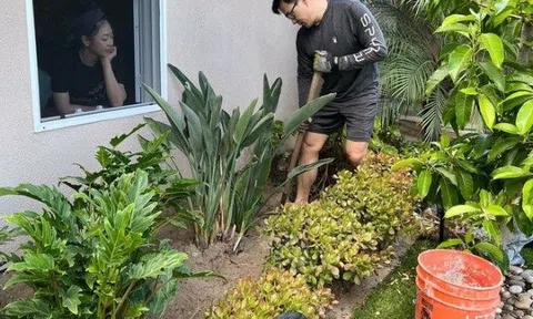 Cận cảnh "biệt phủ" sai trĩu quả của vợ "Vua cá Koi" tại Mỹ, dân tình khen nức nở độ "mát tay"