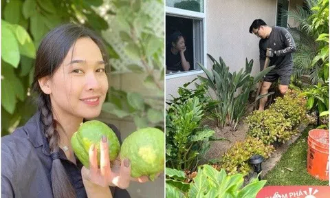Sao nữ sang Mỹ làm vườn như ở quê: Có người chồng "đầy tiền" vẫn chiều vợ cuốc đất, trồng từng cây