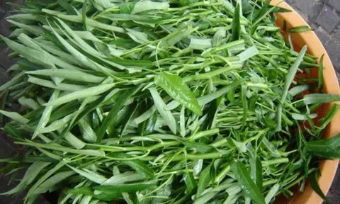 Chì "kịch độc" cho cơ thể nhưng hiện diện trong hầu hết thực phẩm, món nào nhiều chì nhất và làm sao để biết?