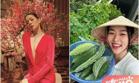 Mỹ nhân Việt ly hôn xong càng đẹp càng giàu: Lệ Quyên dát vàng biệt thự, Diệp Bảo Ngọc mê trồng rau