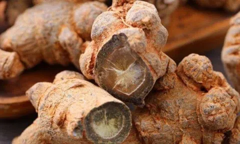 Loại củ tốt hơn cả nhân sâm, ở Việt Nam mọc nhan nhản nhưng ít ai dùng vì có vị "khó đỡ"