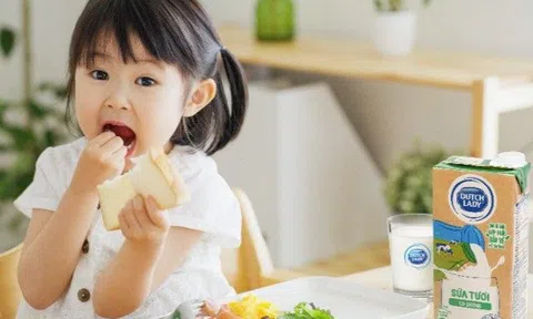 Dấu ấn bền vững dẫn đầu của Cô Gái Hà Lan trong ngành sữa