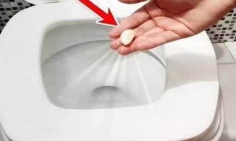 Chồng ném tép tỏi vào bồn cầu, trách anh lãng phí, sáng hôm sau tôi xấu hổ xin lỗi