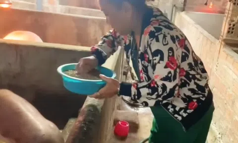 Không còn hào quang sân khấu, ca sĩ Siu Black mặc đồ bộ cho lợn ăn tại quê nhà