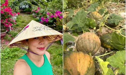 Ca sĩ Mỹ Lệ khoe vườn cây trái sai trĩu trịt, nói “người giàu bền vững hay check-in hoa lá”