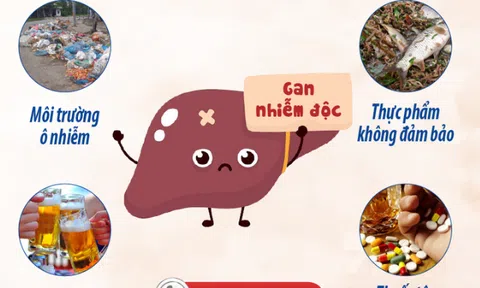 Cách giải độc gan an toàn - Lời khuyên từ chuyên gia