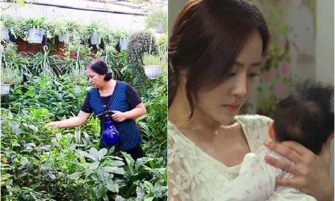 Mẹ gói cho chị gái ít rau bà tự trồng trên sân thượng, vợ tôi đùng đùng ôm con về nhà đẻ