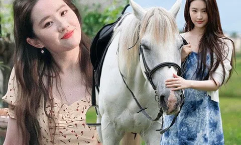 Phụ nữ U30 - U40 học theo Lưu Diệc Phi mặc váy hoa, ít "cưa sừng làm nghé" vẫn trẻ quanh năm