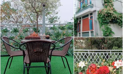 Mẹ đảm Vĩnh Phúc làm vườn sân thượng đầu tiên trong làng, hàng xóm đến tận nhà hỏi, giá trị cây trồng tận 300 triệu đồng
