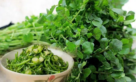 6 loại rau tốt nhất nên ăn trong mọi bữa, có loại người Việt coi bẩn nhất, lắm sán nhưng người Mỹ ca ngợi hết lời