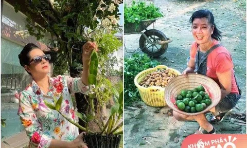 Tuổi xế chiều, nghệ sĩ Chiều Xuân, Thanh Thanh Hiền về vườn trồng rau, hưởng thú vui điền viên