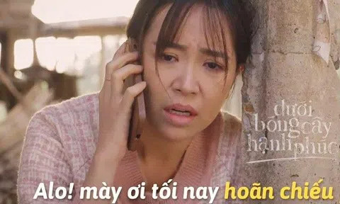 Dưới Bóng Cây Hạnh Phúc hoãn phát sóng đúng lúc nữ chính gặp nguy, khán giả kêu trời