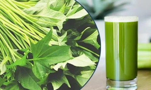 Uống nước rau lang mỗi ngày, cụ bà bất ngờ thấy u gan biến mất, BS chỉ ra 7 loại rau giúp sửa chữa gan