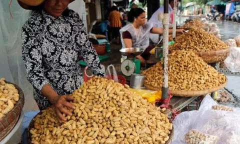 Ra chợ thấy loại "quả trường sinh" này không mua thì phí, giàu chất chống oxy hóa hơn trà xanh, protein ngang trứng