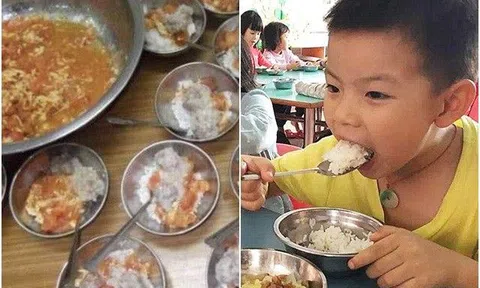 Con khen cơm trưa ở trường rất ngon, mẹ nhìn ảnh cô gửi liền lập tức cho nghỉ học