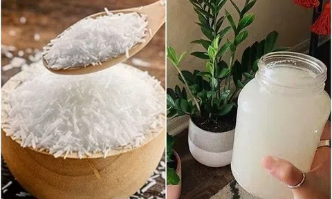 4 thứ màu trắng này là trợ thủ đắc lực để trồng hoa, tiếc là giờ tôi mới biết