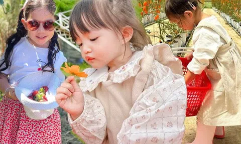 Hội rich-kid trường mẫu giáo "lên đồ" làm nông, chẳng lấm lem còn cực sành điệu, ảnh "sống ảo" nghìn like