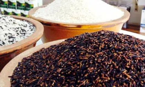 Loại "gạo trường thọ" ra chợ chẳng mấy ai mua, giàu chất hơn gạo trắng, tốt hơn gạo lứt, ăn một nắm nhỏ thu lợi lớn