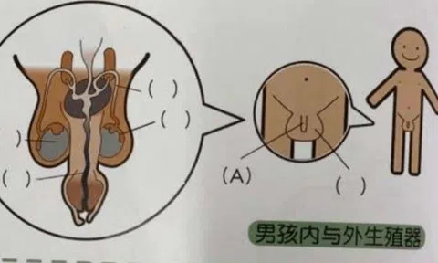 Vô tình mở cuốn sách của con trai, mẹ ngại đỏ mặt khi nhìn thấy thứ trong đó