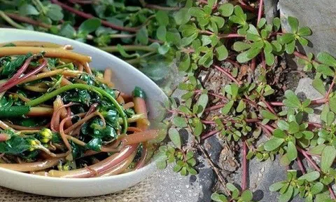 Loại "cỏ dại" mọc ven đường, người Việt dùng cho gia súc ăn nhưng được thế giới săn lùng, Trung Quốc gọi là "rau trường sinh"