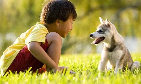Hay chơi với chó mèo, bé trai tử vong sau một tháng con chó của gia đình nuôi đột ngột chết