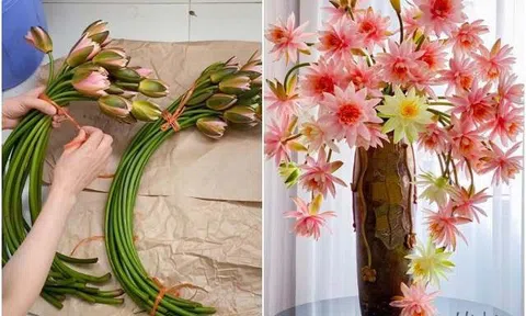 Mẹ Hà Nội hướng dẫn  cắm hoa súng cá hồi đẹp mê ly nhờ vào 3 bước đơn giản