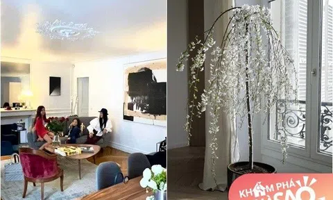 Hé lộ không gian đẹp nên thơ trong căn nhà của Hồng Nhung tại Pháp, sống cùng bạn trai và 2 con