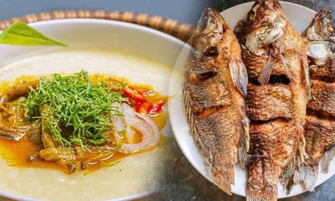 4 loại cá bị đánh giá "độc hại" nhất, có loại cha mẹ Việt hay dùng nấu cháo cho con mà không biết dễ nhiễm ký sinh trùng